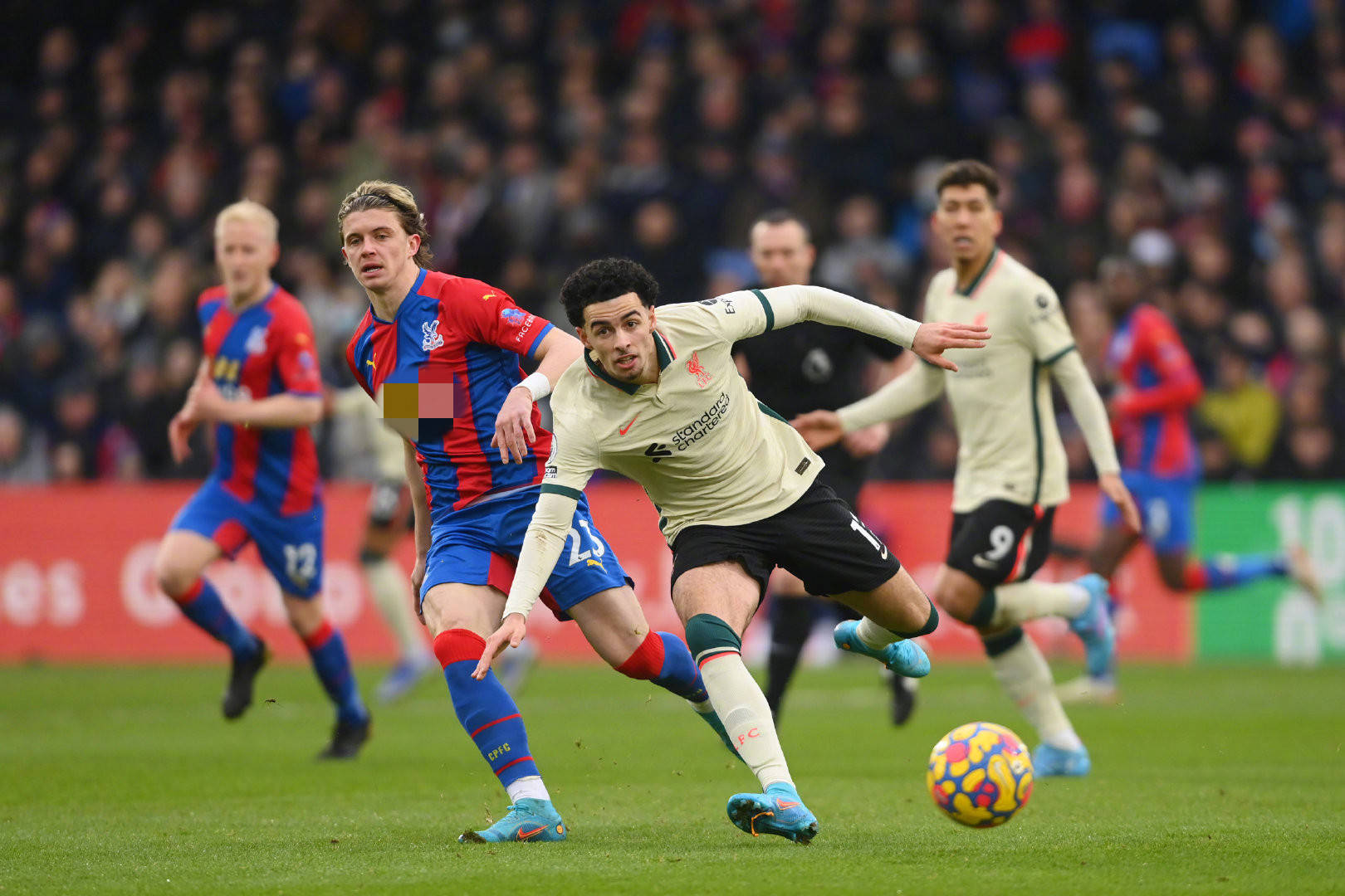 季带来的挑 季带来的挑